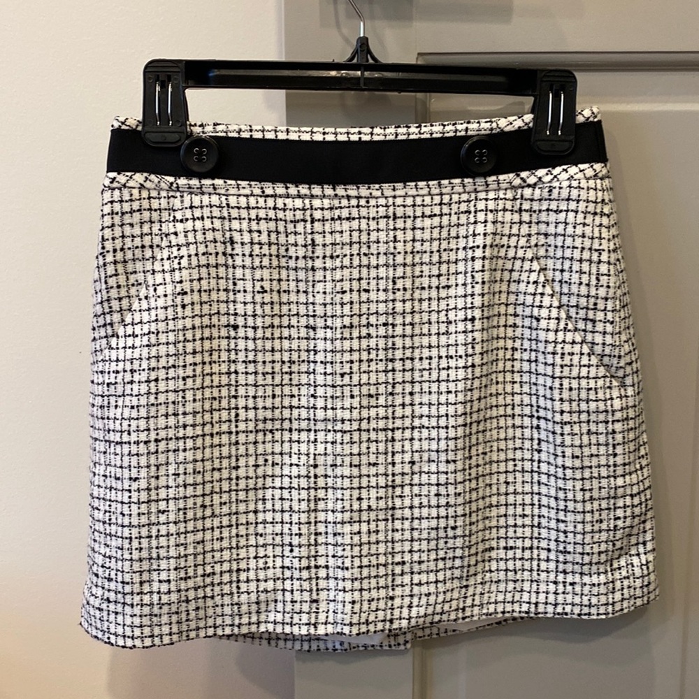 The Limited Mini Skirt